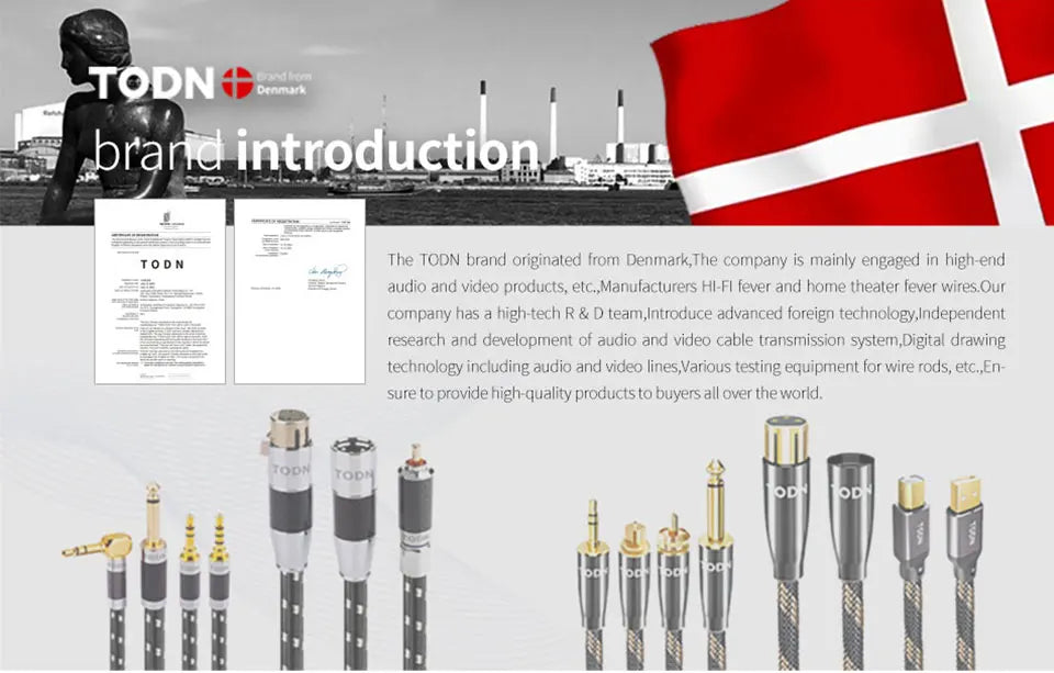 TODN 1 Pair RCA Audio Cable β 2 RCA to 2 RCA Interconnects, HIFI Stereo, Male to Male for Amplifier, DAC, TV, Car Audio