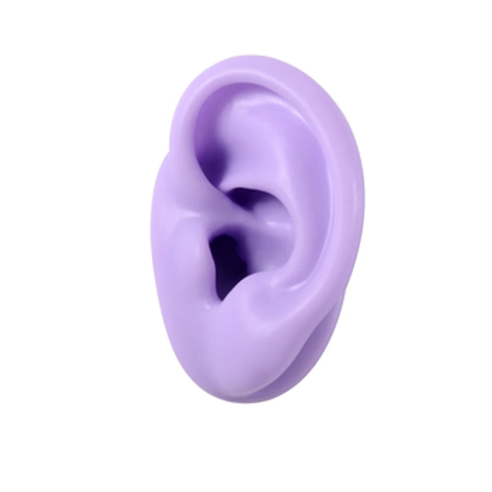 Soft Silicone Ear Model Display Stand – Tattoo Practice & Body Piercing Jewelry Holder with Acrylic Earring Display Kit for Training & Showcase