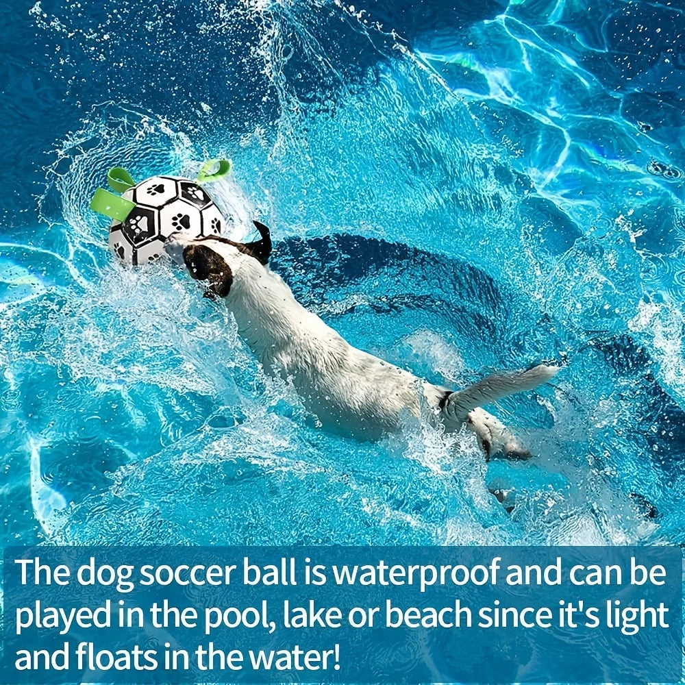 Damaly Interactive Dog Soccer Ball - Durable Water-Resistant Play Ball with Grip Ring for Chasing and Fetch, No Battery Required