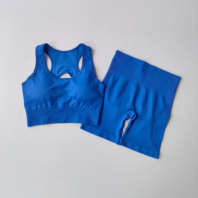 2-Piece Women’s Seamless Yoga Set – Sexy Sport Bra & High-Waist Shorts, Sleeveless Gym Fitness Workout Sportswear