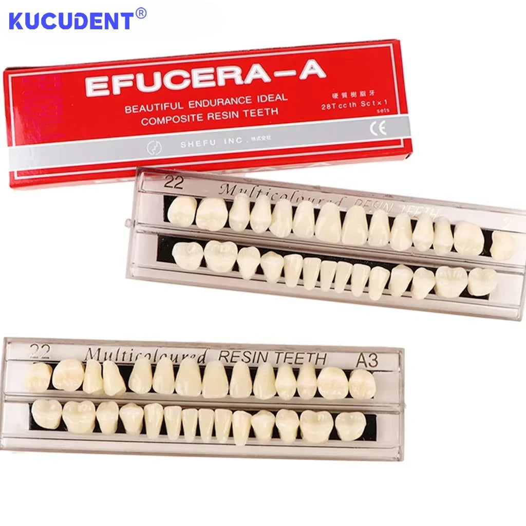 28-Teeth Resin Denture Set β Synthetic Dental Teaching Model for Education, Training & Permanent Teeth Practice Material