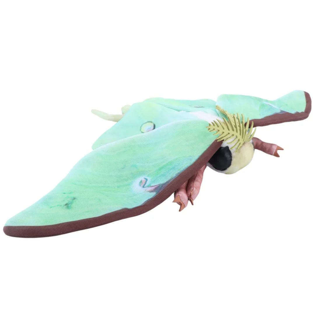 Luna Moth & Rosy Maple Moth Plush - Soft Realistic Insect Stuffed Animal Gift