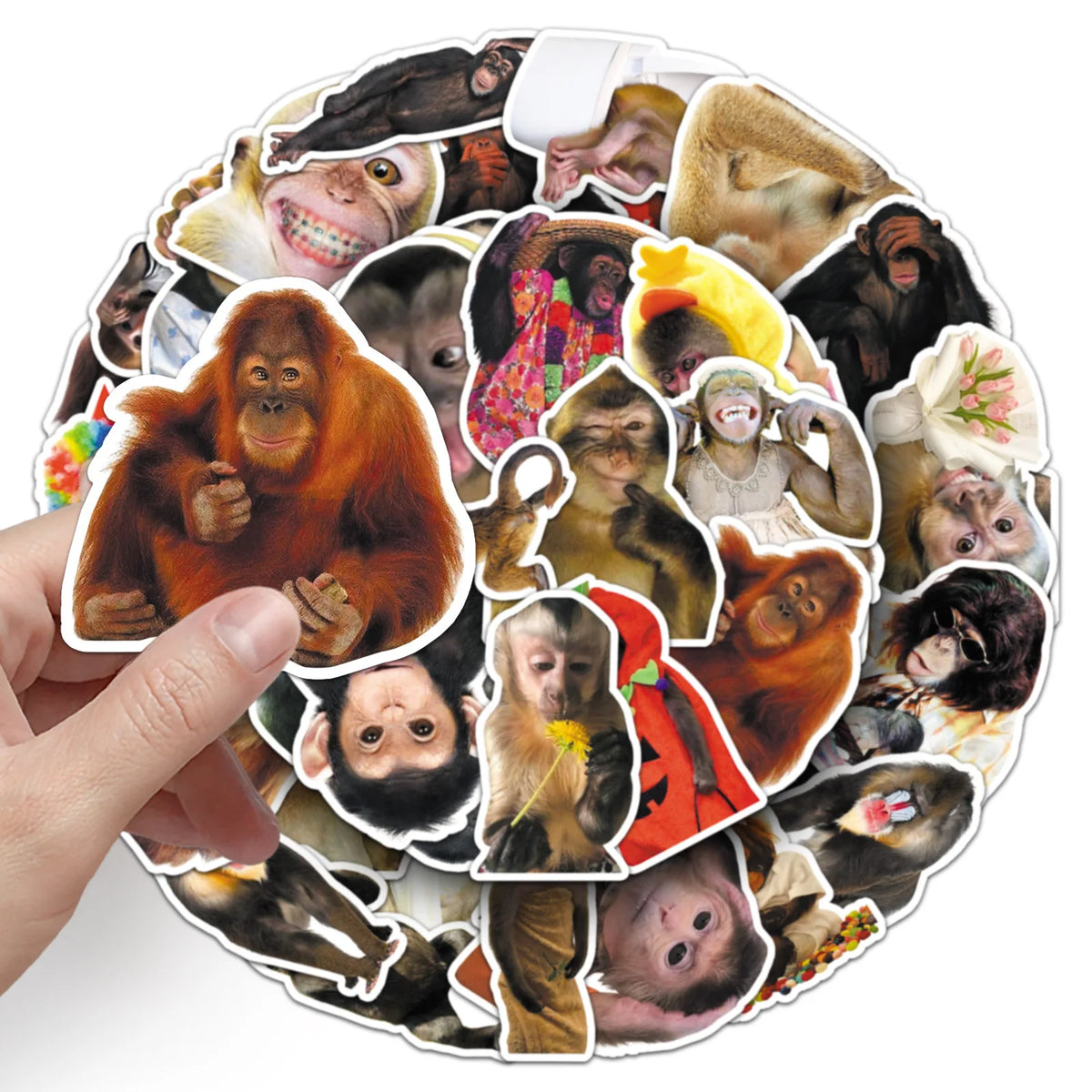 50-Piece Funny Monkey & Orangutan Stickers - Waterproof Cartoon Doodle Decals for Notebooks, Helmets, Suitcases, Motorcycles, and Fridges