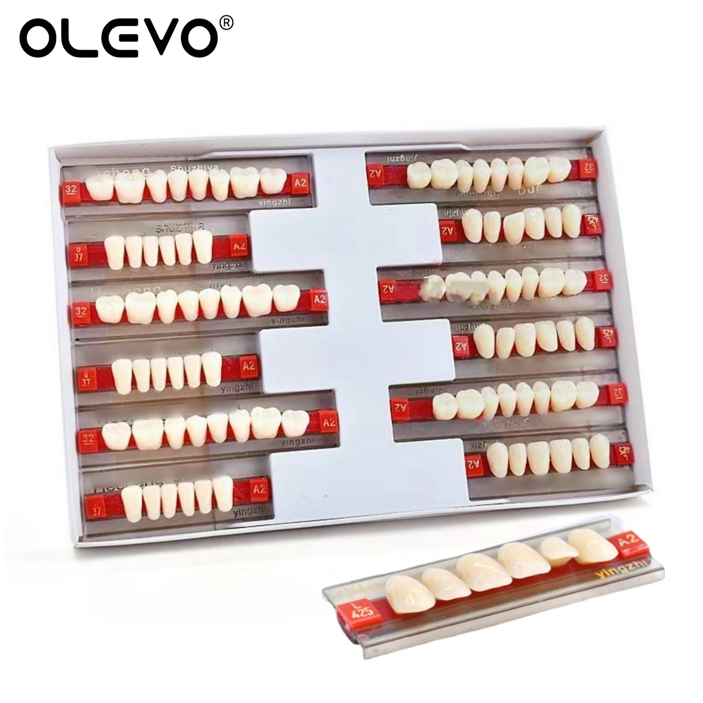 84PCS Dental Acrylic Resin Denture Teeth Set β Full Mouth Upper & Lower False Teeth Model (A1/A2/A3, S/M/L Sizes)