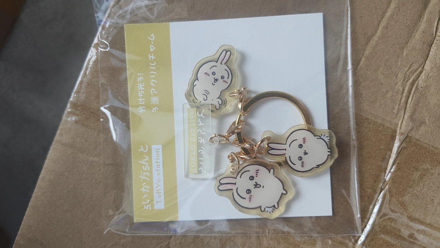Chiikawa Hachiware USAGI Momoka Acrylic Keychain – Cute Cartoon Pendant for Bags & Gifts