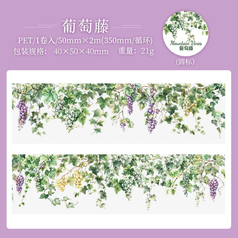 5x200cm INS Fresh Vine Theme PET Tape – Adhesive Stickers for DIY Scrapbooking, Diary, and Collage Crafts