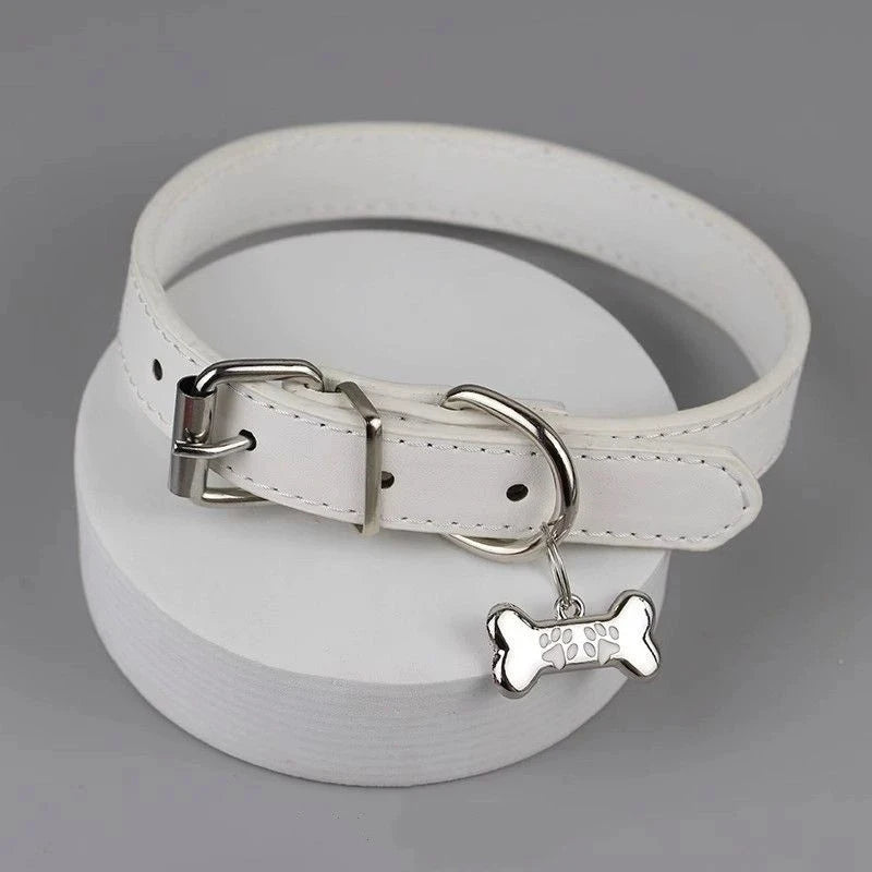 Colorful Gothic Dog Claw & Bone Choker Necklace - PU Leather Punk Party Jewelry for Women