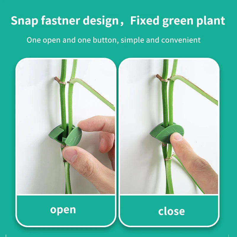 Versatile Plant Wall Fixture and Bracket - Secure Your Rattan Vines with Leaf Clips and Traction Holder for Gardens