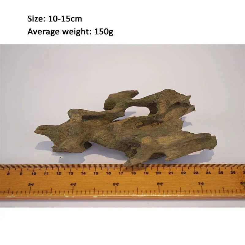 Natural Wooden Driftwood Aquarium Decor – Porous Fish Tank Decoration for Crabs, Shrimp & Fish