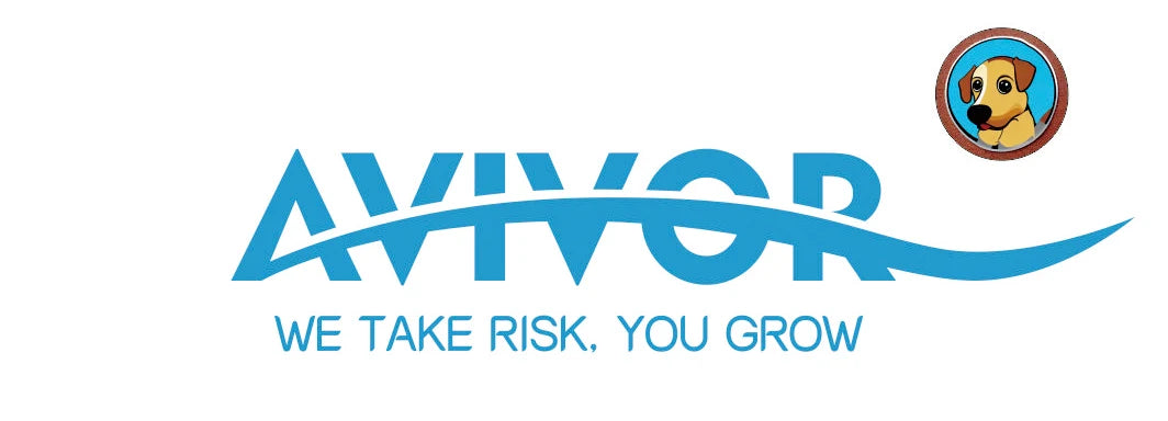 AVIVOR 3D Protective Shorts – Unisex Snowboard & Ski Sports Hip Protection Pad