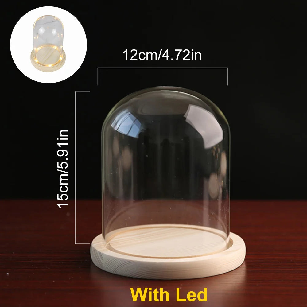 Glass Dome with Wooden Base & LED Light – Terrarium Vase, Flower Holder, Landscape Container for Bedroom Decor & Birthday Gifts