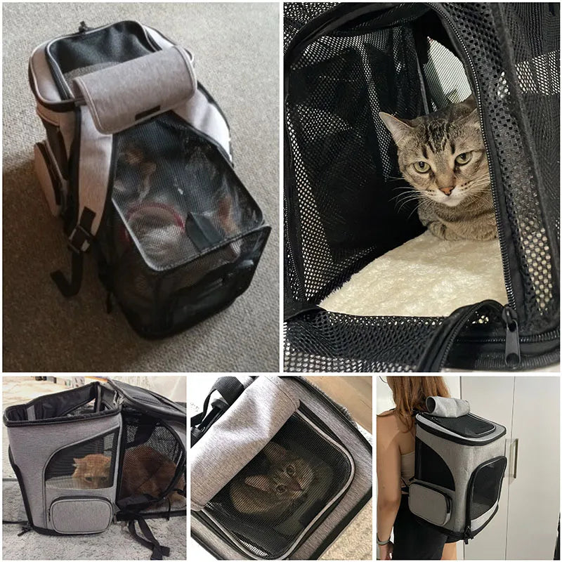 Breathable Foldable Pet Carrier Backpack – Expandable Travel Bag with Large Capacity for Cats & Dogs