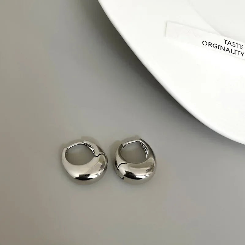 Stainless Steel Chunky Hoop Earrings – Smooth Round Statement Hoops for Women & Girls, Punk Fashion Jewelry