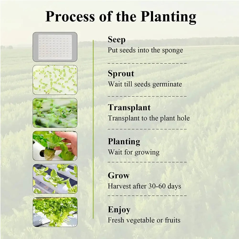 3 Layer Hydroponics Growing System – 108 Sites PVC Pipe Soilless Cultivation Kit for Vegetables & Herbs