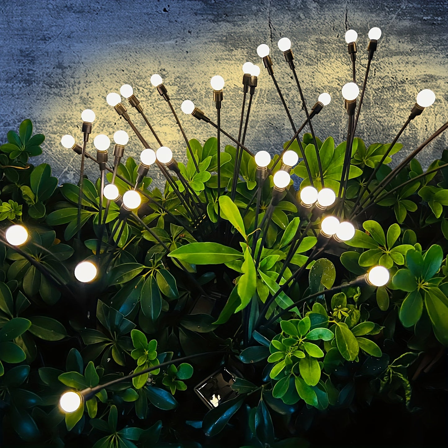 50094553432371