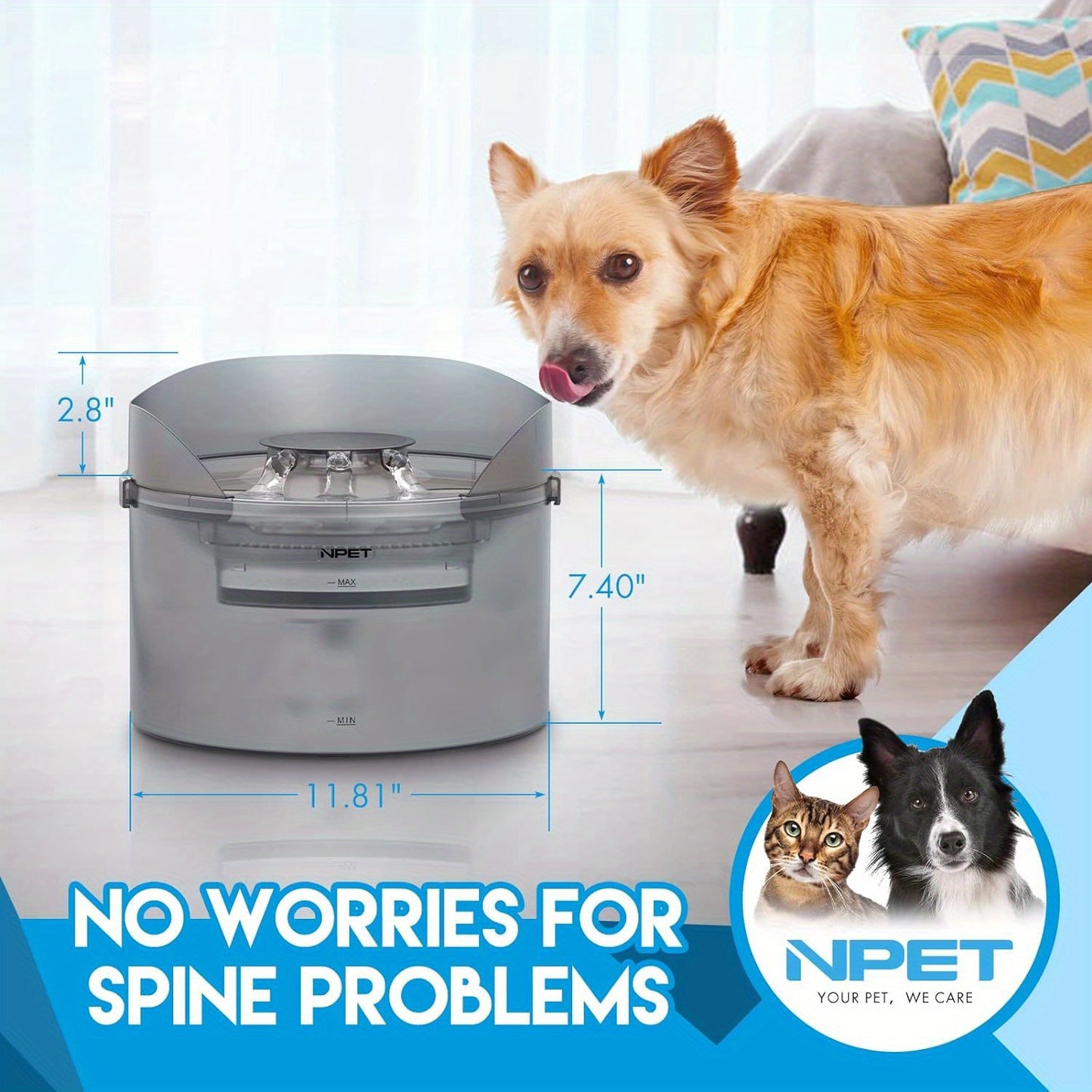 NPET DF30 Dog Water Fountain - 2 Gallon /270oz/8L Large Automatic Pet Water Bowl Dispenser, with Splatter Guard & Cleaning Kit, Ideal for Large Dogs and Multiple Pets