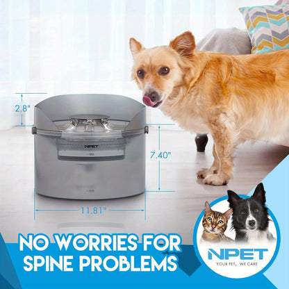 NPET DF30 Dog Water Fountain - 2 Gallon /270oz/8L Large Automatic Pet Water Bowl Dispenser, with Splatter Guard & Cleaning Kit, Ideal for Large Dogs and Multiple Pets