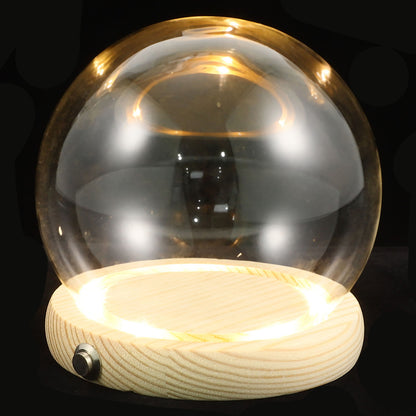 Handmade Glass Display Dome – Clear Plant Pots with LED Lights, Glowing Eternal Preserved Flowers Decor