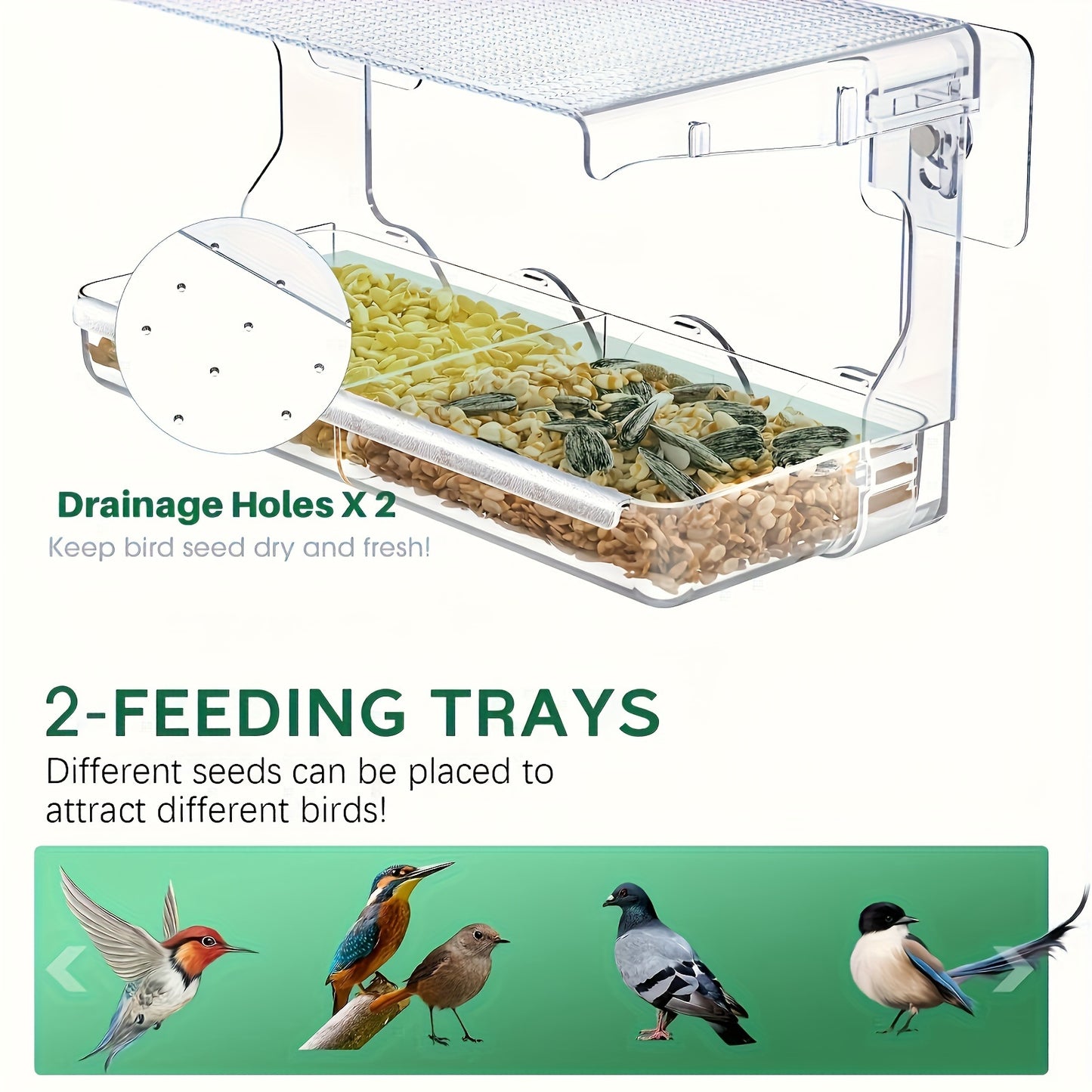 Vibrant Clear House Window Bird Feeder - Durable Hanging Seed Holder for Outdoor Bird Watching, Easy to Fill and Clean, Perfect for Backyard Wildlife Enthusiasts