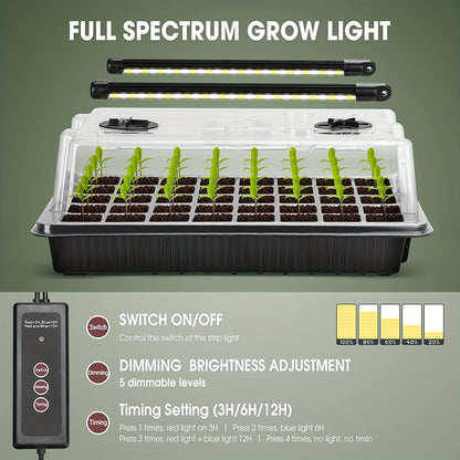 Seed Starter Trays Set with 2 Long Strip Grow Lights – 40-Cell Kit with Humidity Dome for Seed Germination, Seedling Starting, Propagation, and Cloning Plants