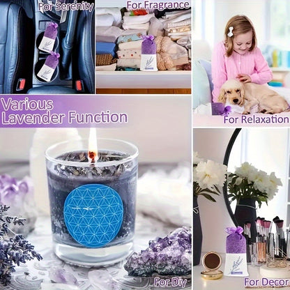 5 Pack Lavender Aromatic Fragrance Bags – French Lavender Scent for Car, Wardrobe, & Home