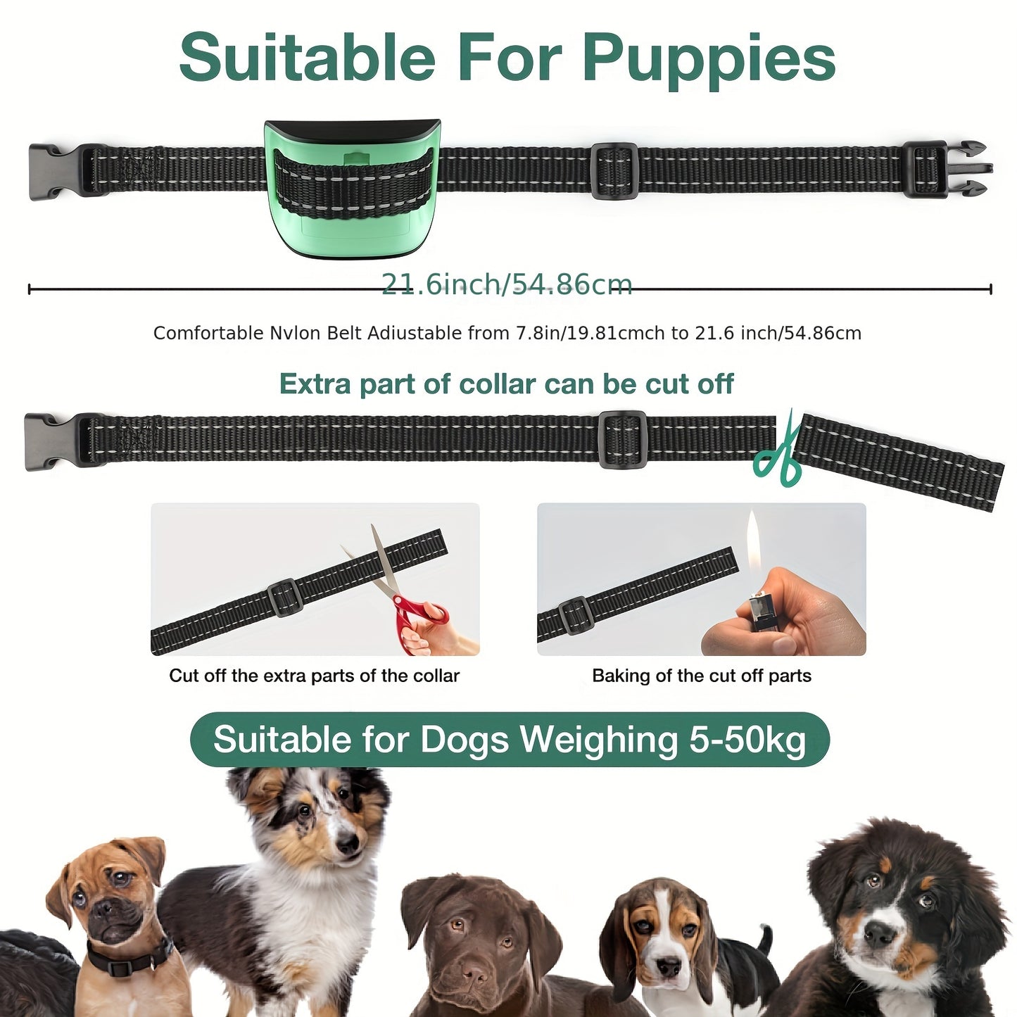 Anti-Bark Collar for Small and Medium Dogs - Gentle and Effective Solution for Excessive Barking