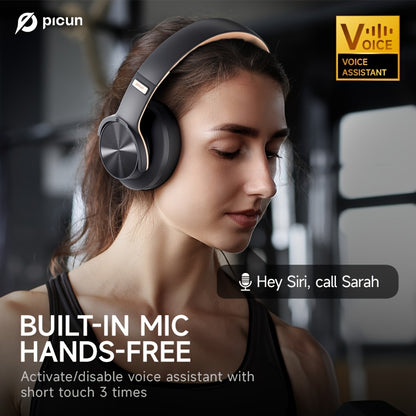 Picun B8 Elite Hi-Fi Wireless Headphones - 120-Hour Battery, 3 EQ Modes, Foldable, Crystal-Clear Mic, Sound Isolation, Type-C Fast Charging