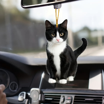 50578276581683