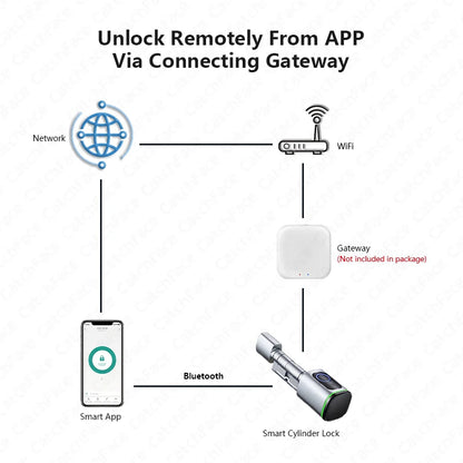 V1 Pro+ Smart Door Lock – TUYA App Adjustable Fingerprint, Password & RFID Cylinder for Home Security