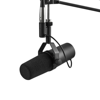 Professional Dynamic Microphone – Selectable Frequency Response for Studio Recording & Performance Vocals, Compatible with Shure SM7B