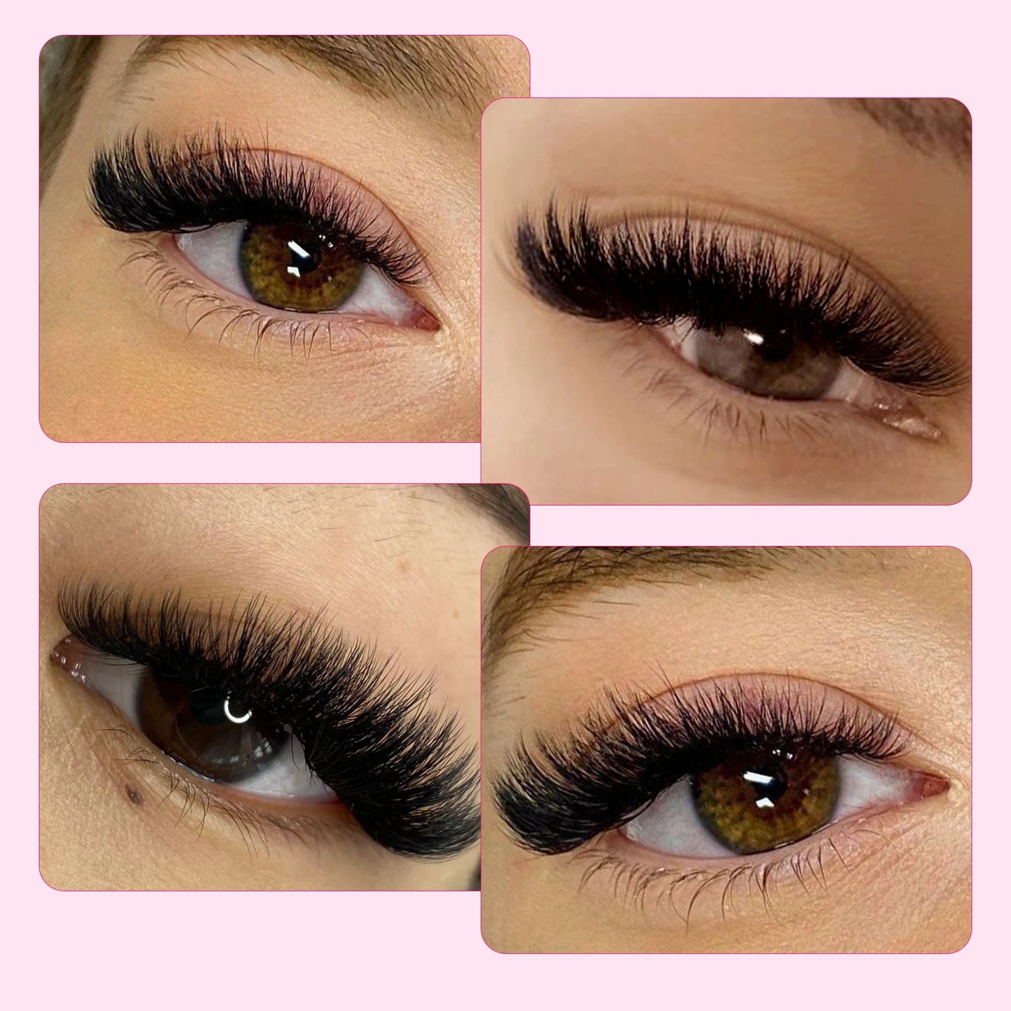 CoMango 600 Premade Volume Lash Fans | Pointy Base 3D–16D Eyelash Extensions – Faux Mink Wholesale