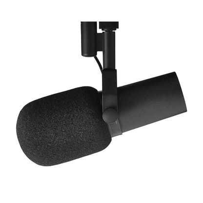 Professional Dynamic Microphone – Selectable Frequency Response for Studio Recording & Performance Vocals, Compatible with Shure SM7B