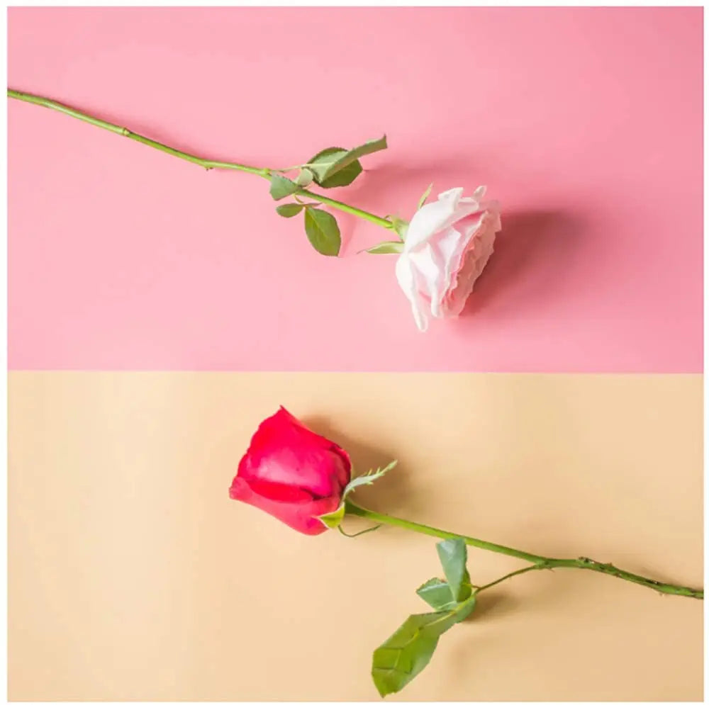 Selens PVC Photography Backdrop Board - 40×66.5cm Waterproof Matte Frosted & Smooth Background for Studio Photography