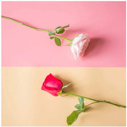 Selens PVC Photography Backdrop Board - 40×66.5cm Waterproof Matte Frosted & Smooth Background for Studio Photography