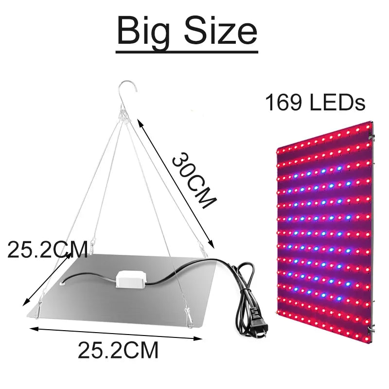 48433988829491|48433988895027
