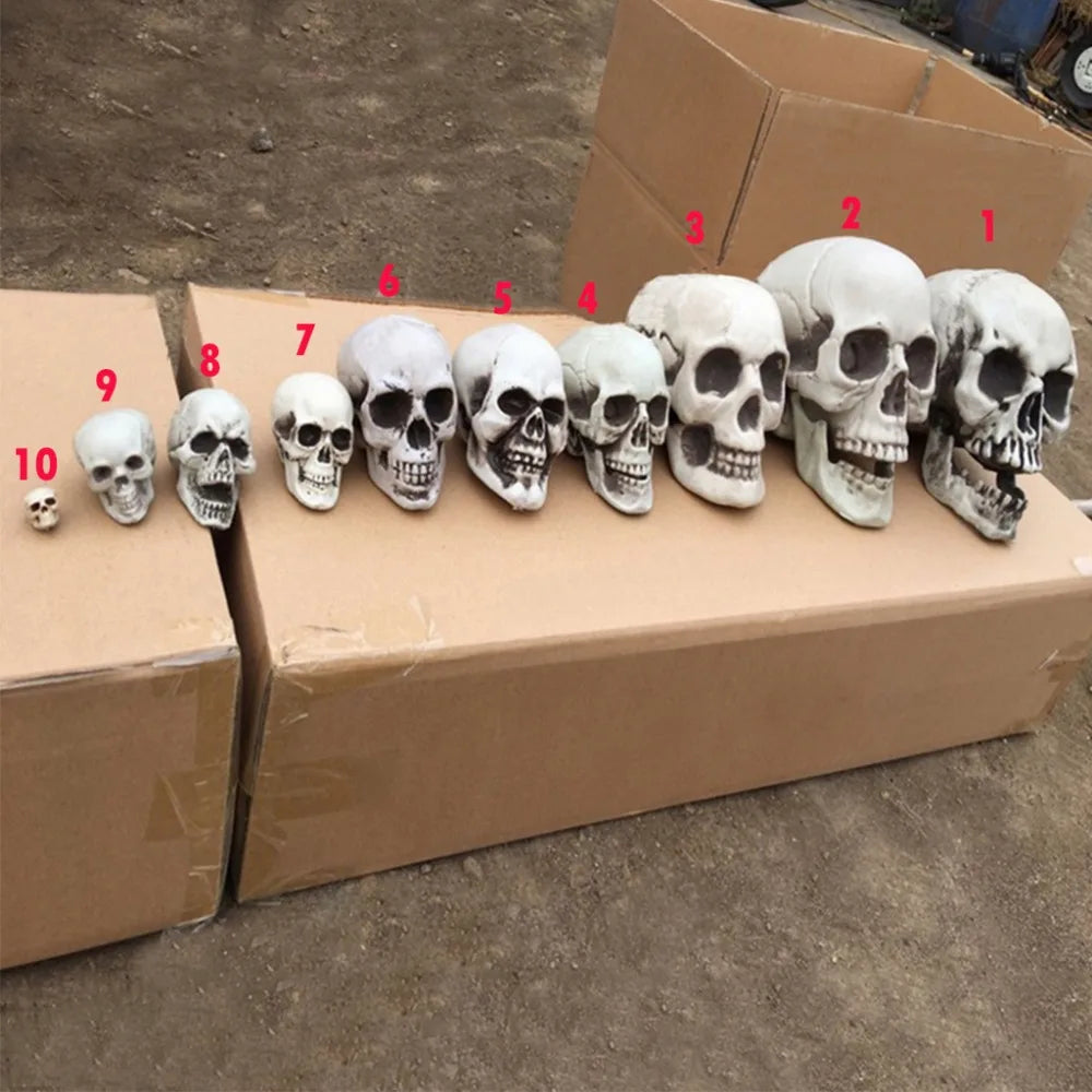Plastic Skull Head Figurine — Scary Skeleton Decorative Statue for Halloween, Bar, Party & Home Decor