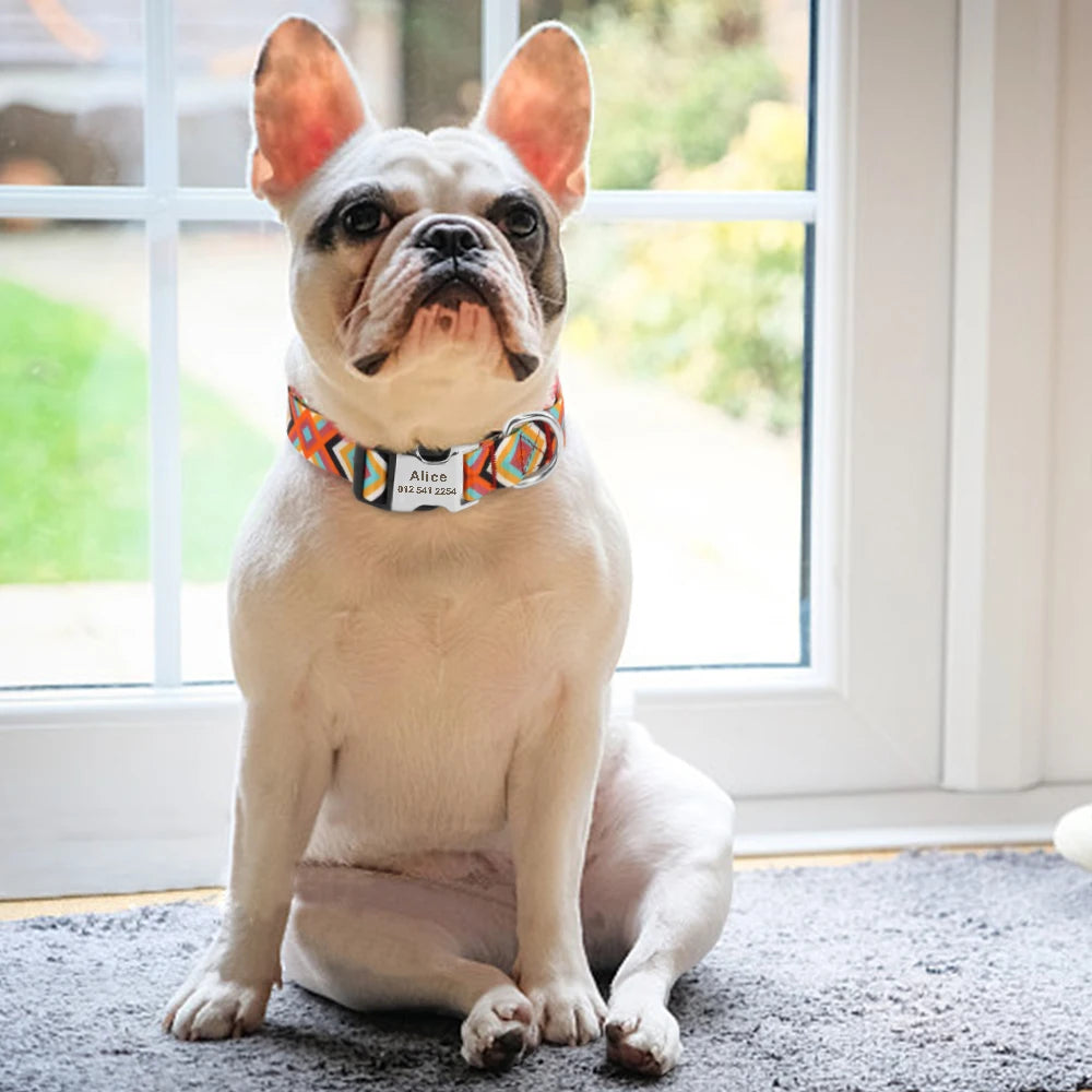 Adjustable Nylon Dog & Cat Collar – Personalized ID Collar with Engraved Name Buckle, Anti-Lost for Small, Medium & Large Pets