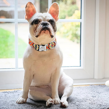 Adjustable Nylon Dog & Cat Collar – Personalized ID Collar with Engraved Name Buckle, Anti-Lost for Small, Medium & Large Pets