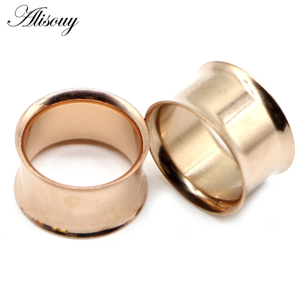 Alisouy Surgical Steel Ear Plug Kit - 2PCS No-Screw Fit Ear Gauges Tunnel Expanders for Body Piercing