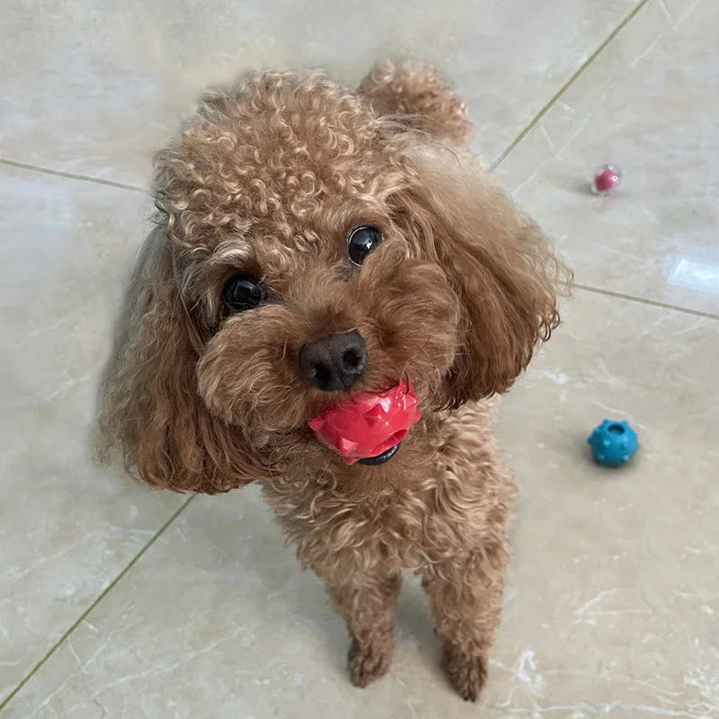 CAITEC Mini Squeaky Dog Ball - Soft Floating Fetch Toy For Small Dogs Tossing And Chasing Play