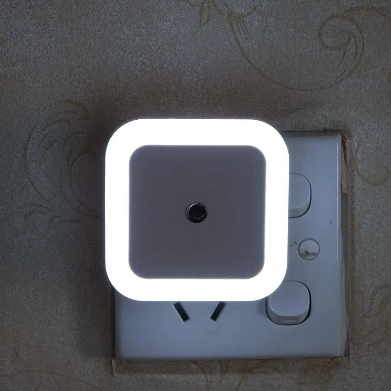 49895138033971|49895138263347