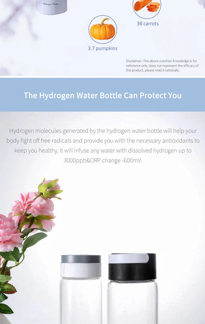 BlueVida SPE&PEM Hydrogen Water Generator - High Concentration, 2 Work Modes & Self-Cleaning, Hydrogen Absorption