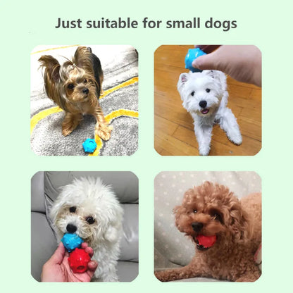 CAITEC Mini Squeaky Dog Ball - Soft Floating Fetch Toy For Small Dogs Tossing And Chasing Play