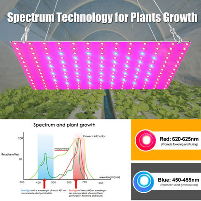 1000W/2000W LED Full Spectrum Plant Grow Light: Hydroponic Growing Lamp for Indoor Plants - Ultrathin Panel Design for Phyto Veg and Flower Growth