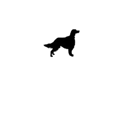 Personalized Pet Memorial Stone – Heart-Shaped Dog & Cat Grave Marker with Paw Design, 1-24 Patterns for Garden Tombstone