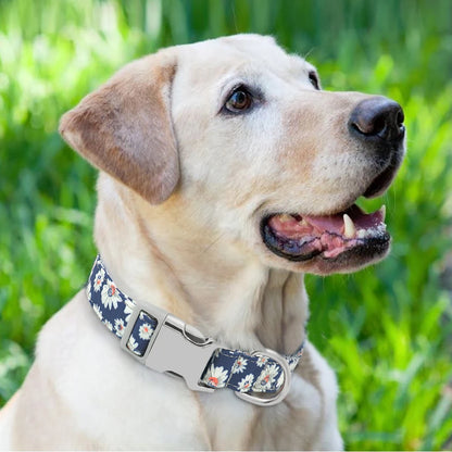 Adjustable Nylon Dog & Cat Collar – Personalized ID Collar with Engraved Name Buckle, Anti-Lost for Small, Medium & Large Pets