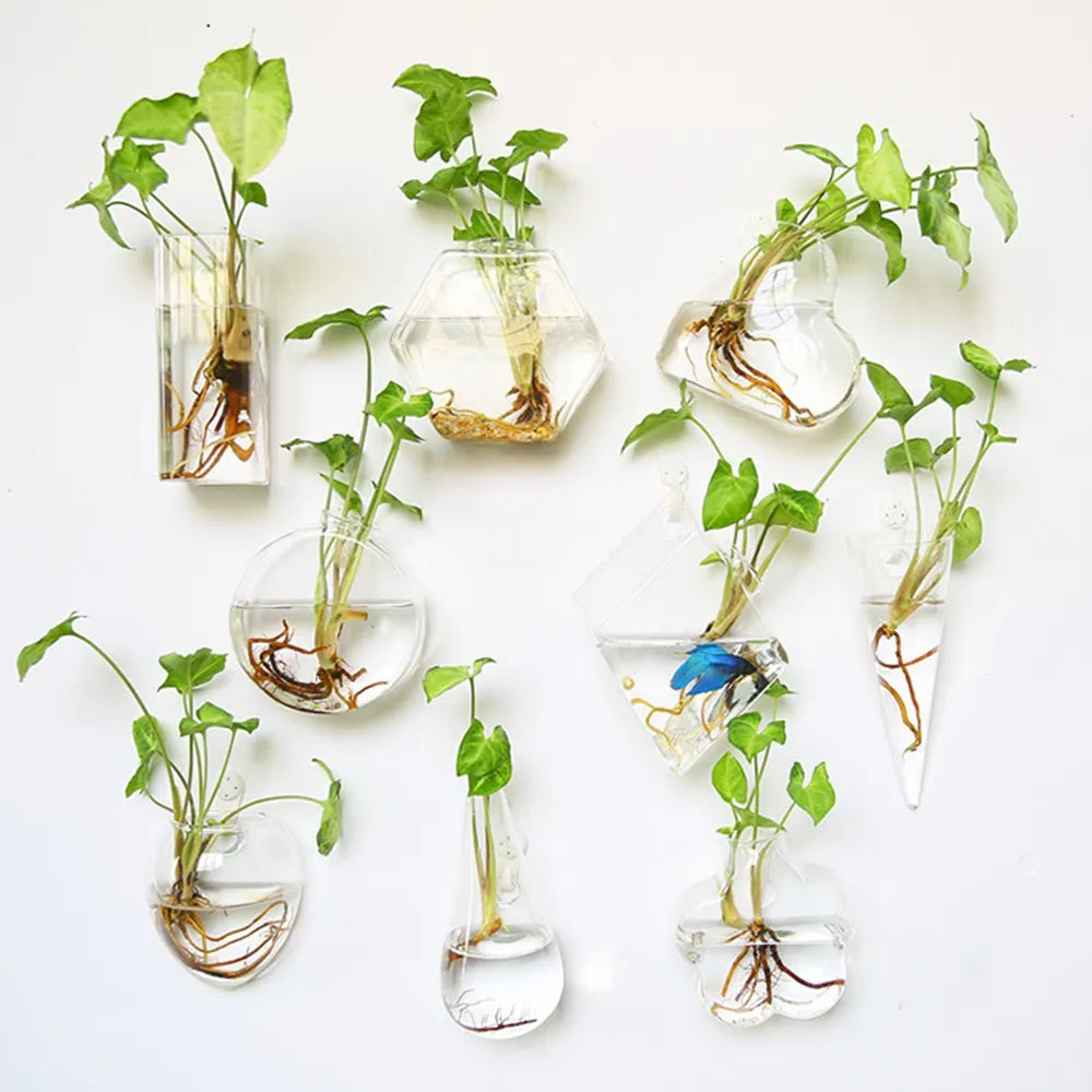 Wall Hanging Glass Terrarium - Fashionable Flower Vase and Fish Tank, Home Garden Planter for Decoration