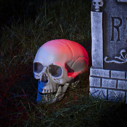 Plastic Skull Head Figurine — Scary Skeleton Decorative Statue for Halloween, Bar, Party & Home Decor