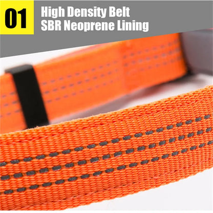 Truelove Reflective Dog Collar Set – Adjustable, Padded Soft Nylon for Small, Medium & Large Dogs, TLC5271
