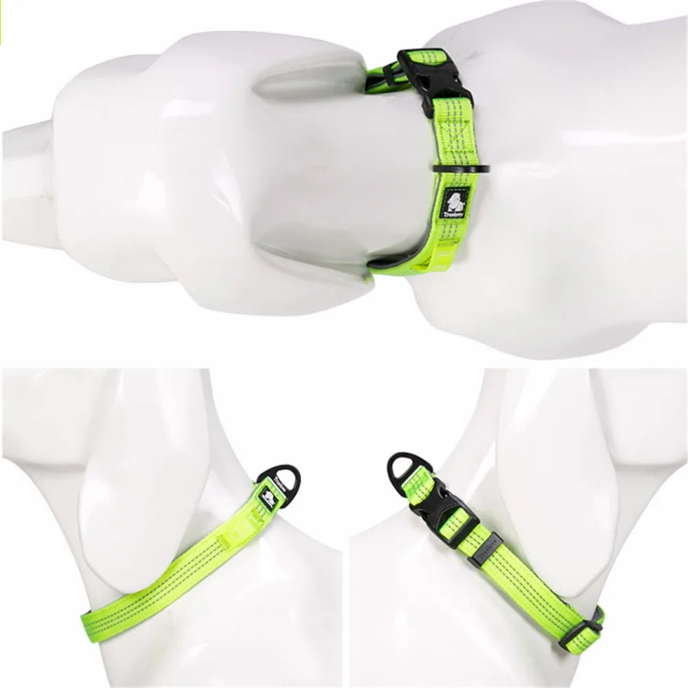 Truelove Reflective Dog Collar Set – Adjustable, Padded Soft Nylon for Small, Medium & Large Dogs, TLC5271
